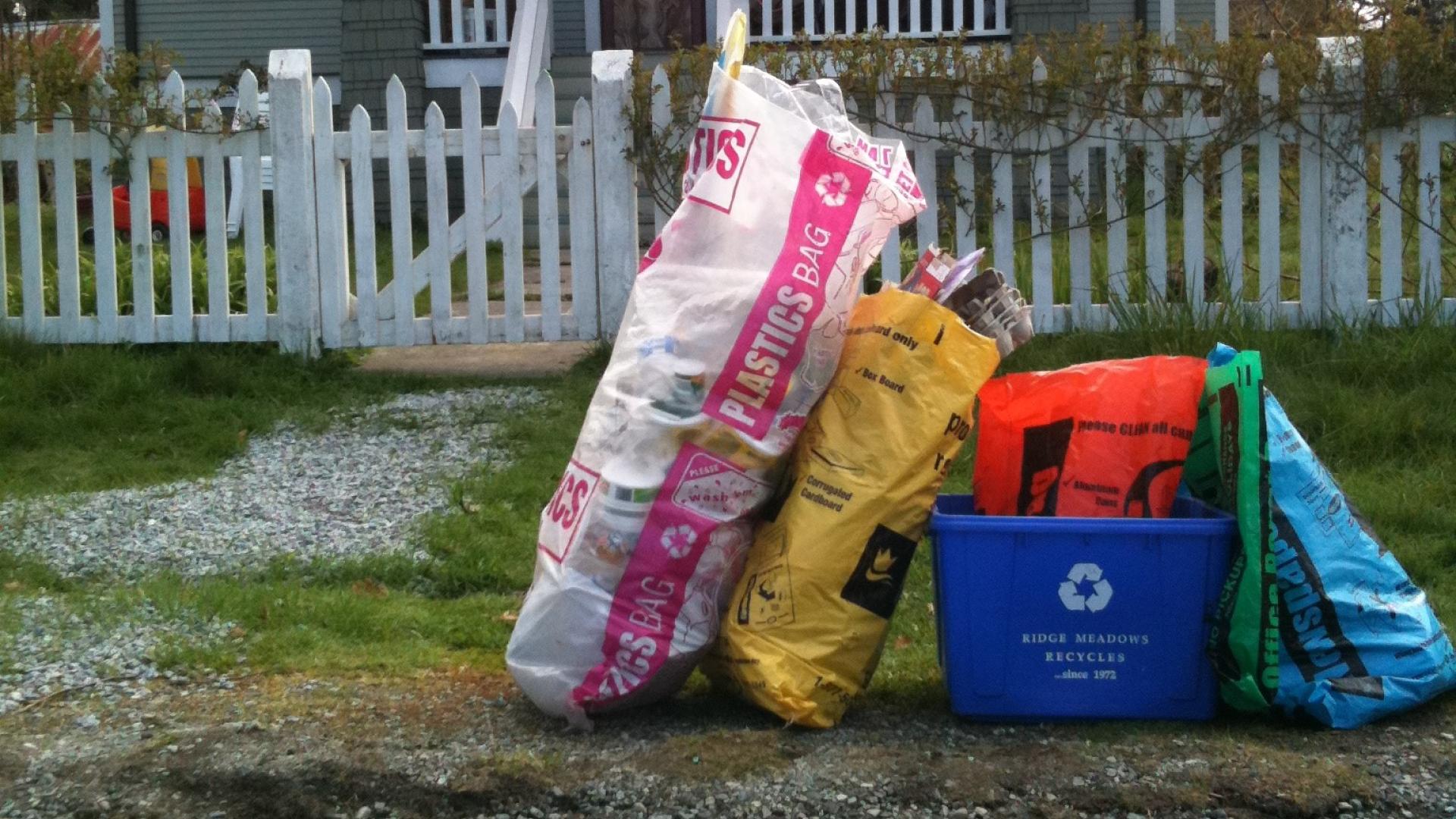 recycle bins and bags on the side of the street in front of a house