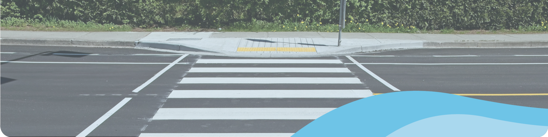 close up of a crosswalk