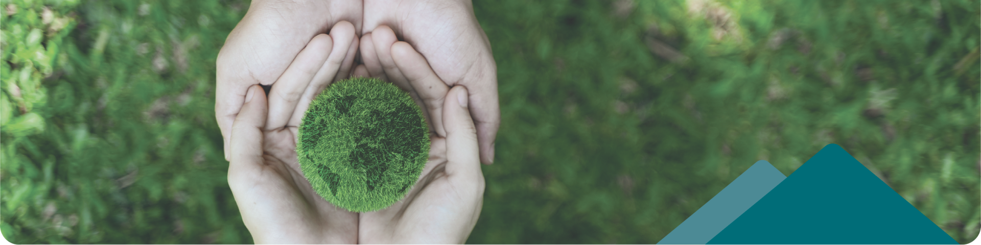 two pair of hands holding a green planet